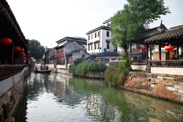 省政协委员和丽贵:打造“云菌”品牌 助推乡村振兴